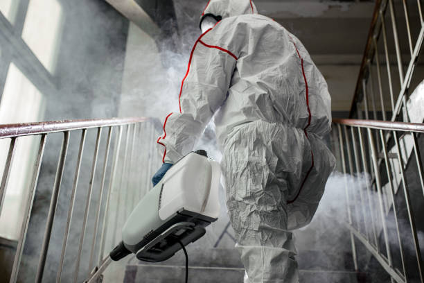 Why You Should Choose Our Mold Remediation Services in Beattystown, NJ